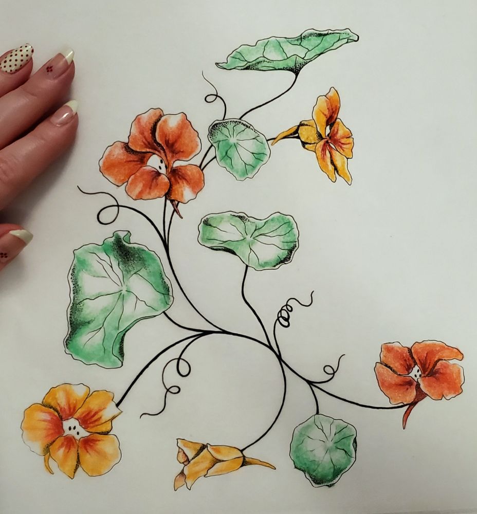 A pale pink femme illustrator / artist hand with cute painted nails poses with their drawing, hand rested on the upper left corner of the paper. Her mani is light green French tips with red polka dot accents. The drawing is on white paper and is of a large composition of nasturtium flowers with swirly twirling vines and some big leaves. The flowers are yellow and orange alternating with colored veins and minty green leaves. 