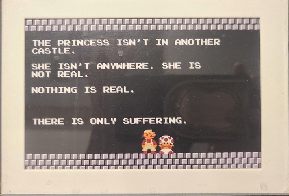 A screen capture from Super Mario Bros with Mario and Toad. 

The text reads:

"The princess isn't in another castle. She isn't anywhere. She is not real. Nothing is real. There is only suffering." 