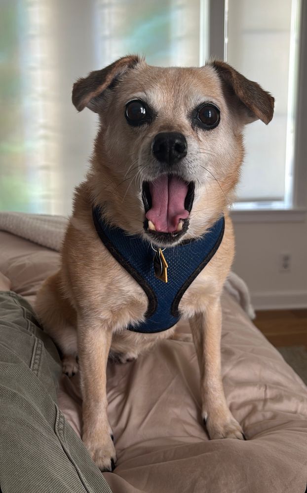 Lenny looking shocked