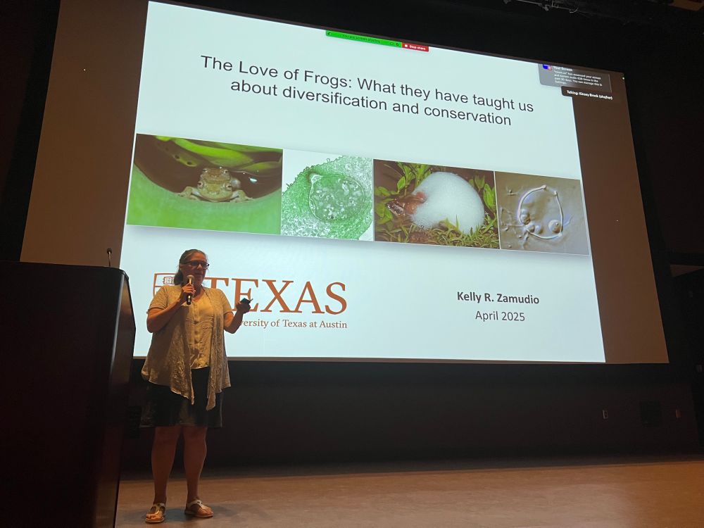Kelly giving her talk