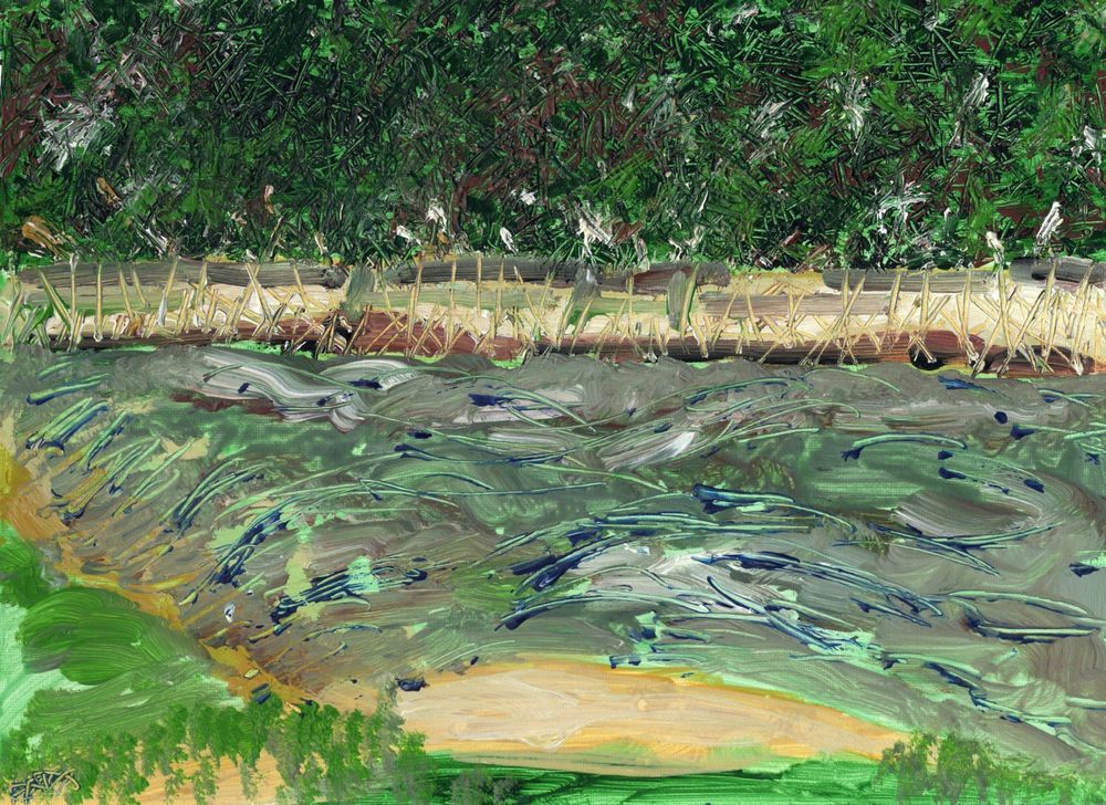 This is a landscape acrylic painting on paper of water rushing towards the weir on the river Wey in Tilford near Farnham, UK. The main colours are shades of green interspersed with yellow.