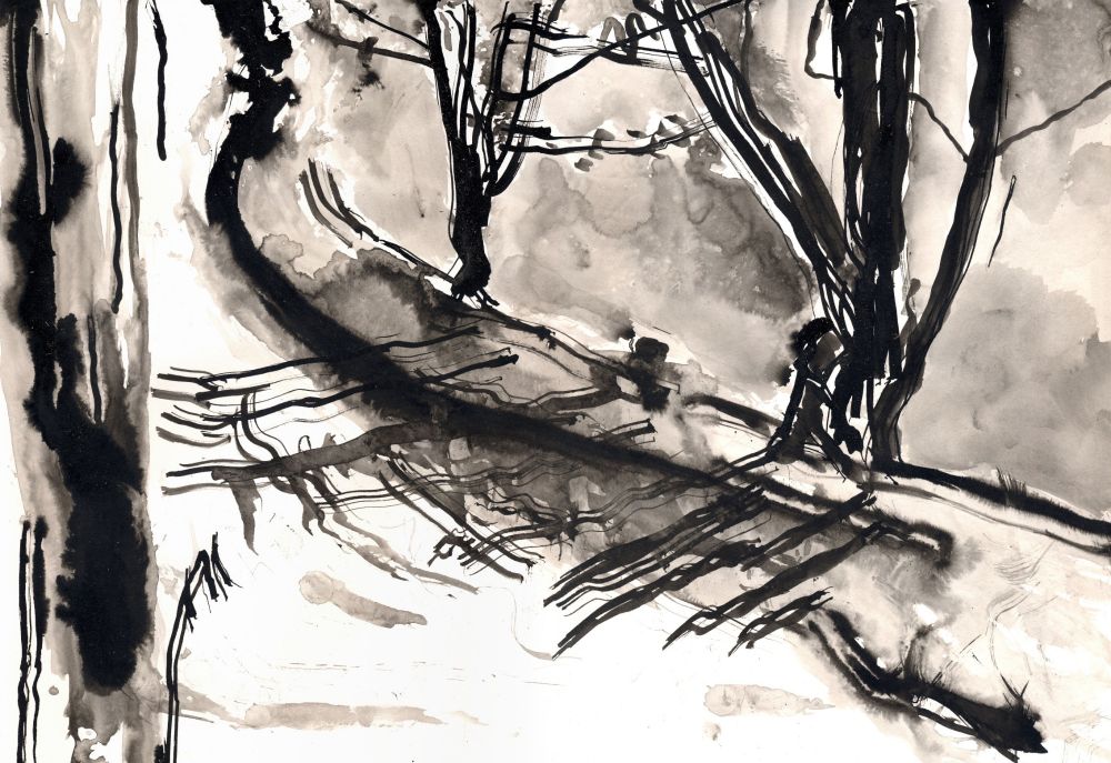 This is a landscape shaped black and white sketch using Indian ink of the towpath on the Hertford Union Canal. I sat on a bench to the side of the path and drew what was in front of me. This included the gravel path with some grass and trees running from the top left hand corner and finishing near the bottom right hand side with the canal in the background. I used found objects to make the drawing that I picked up along the way including twigs and a feather.