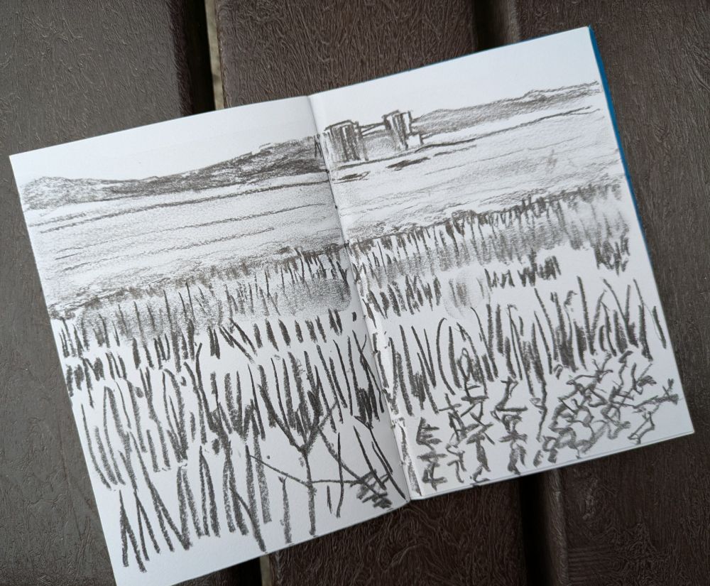 This is a charcoal sketch of a landscape looking from Rainham Marshes in Essex to the southern bank of the river Thames. The foreground is full of reeds with the water behind it and the southern bank and sky in the background.