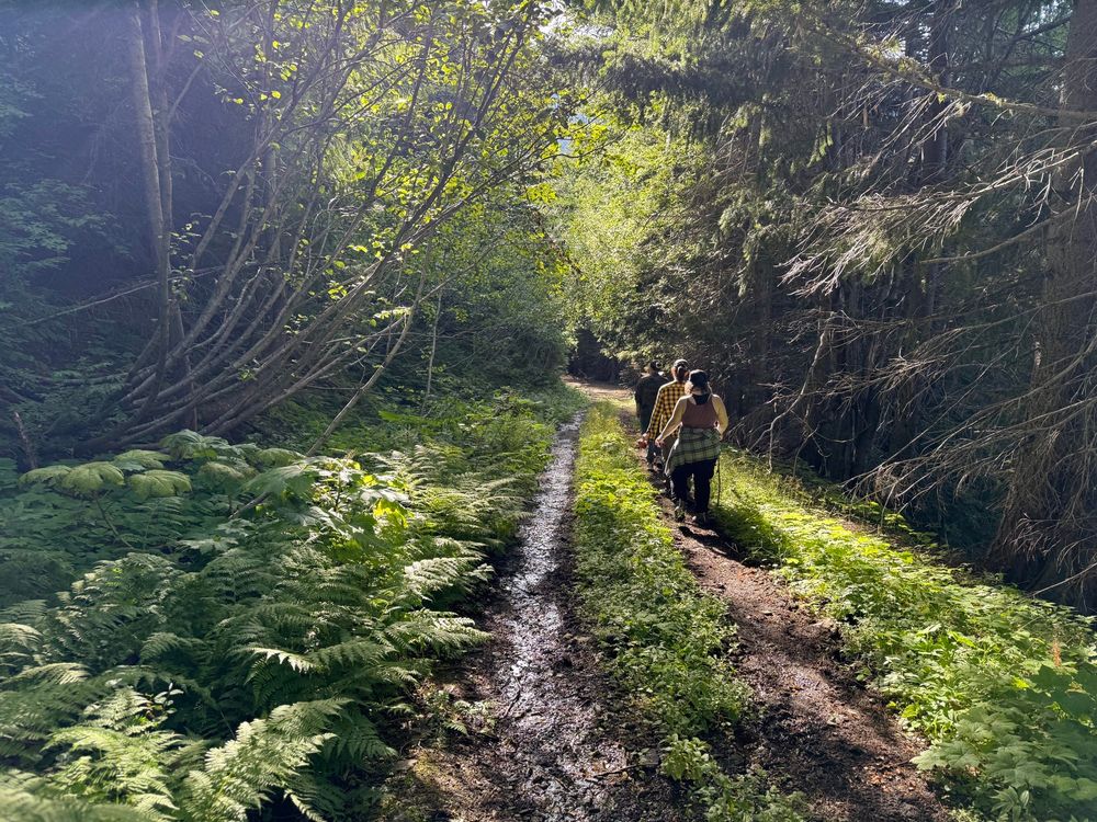 hiking down a trail 