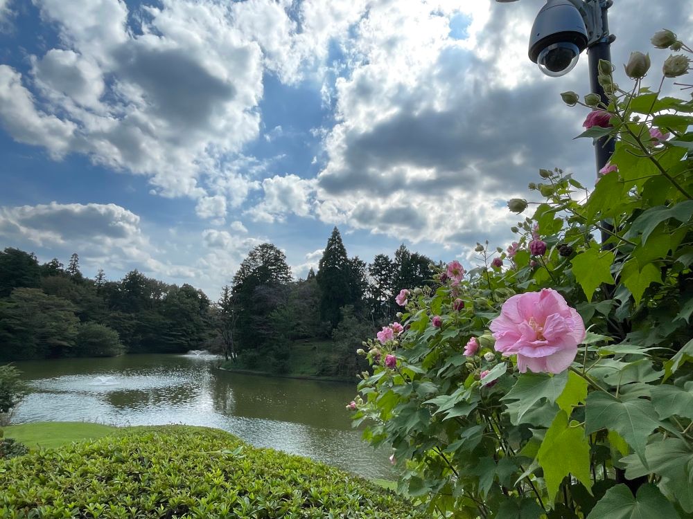 DIC川村記念美術館の庭園