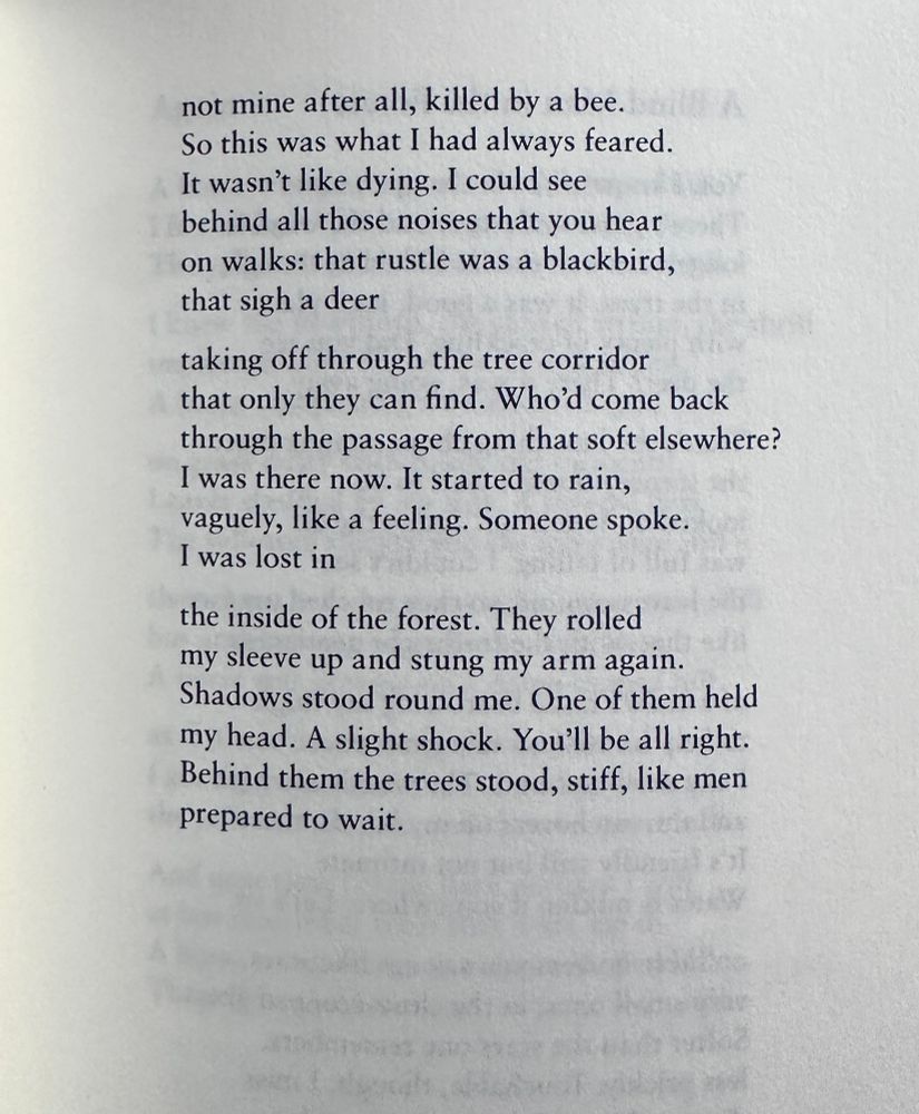 not mine after all, killed by a bee.
So this was what I had always feared.
It wasn't like dying. I could see
behind all those noises that you hear
on walks: that rustle was a blackbird,
that sigh a deer

taking off through the tree corridor
that only they can find. Who'd come back
through the passage from that soft elsewhere?
I was there now. It started to rain,
vaguely, like a feeling. Someone spoke.
I was lost in

the inside of the forest. They rolled
my sleeve up and stung my arm again.
Shadows stood round me. One of them held my head. A slight shock. You'll be all right.
Behind them the trees stood, stiff, like men prepared to wait.