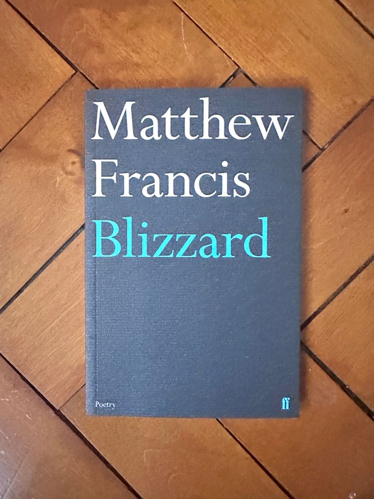 Cover of Blizzard by Matthew Francis. Plain text in blue and white on a grey background. 
