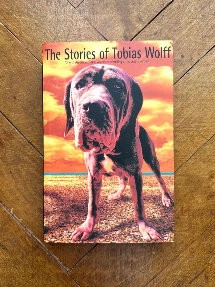 The Stories of Tobias Wolff (Bloomsbury, 1997). The cover shows a photo by Vincent McDonald of a sad-looking dog with its face up close and body distortedly small as a result, against an artificially coloured background of beach and orange-yellow cloudy sky. And it’s even worse to look at than that description implies. 