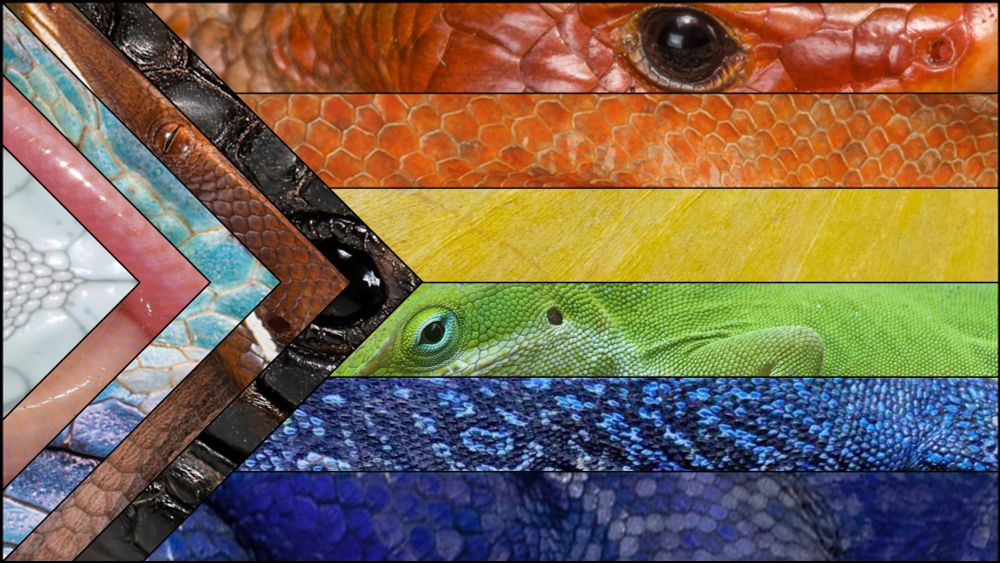 A pride flag made with lizards.