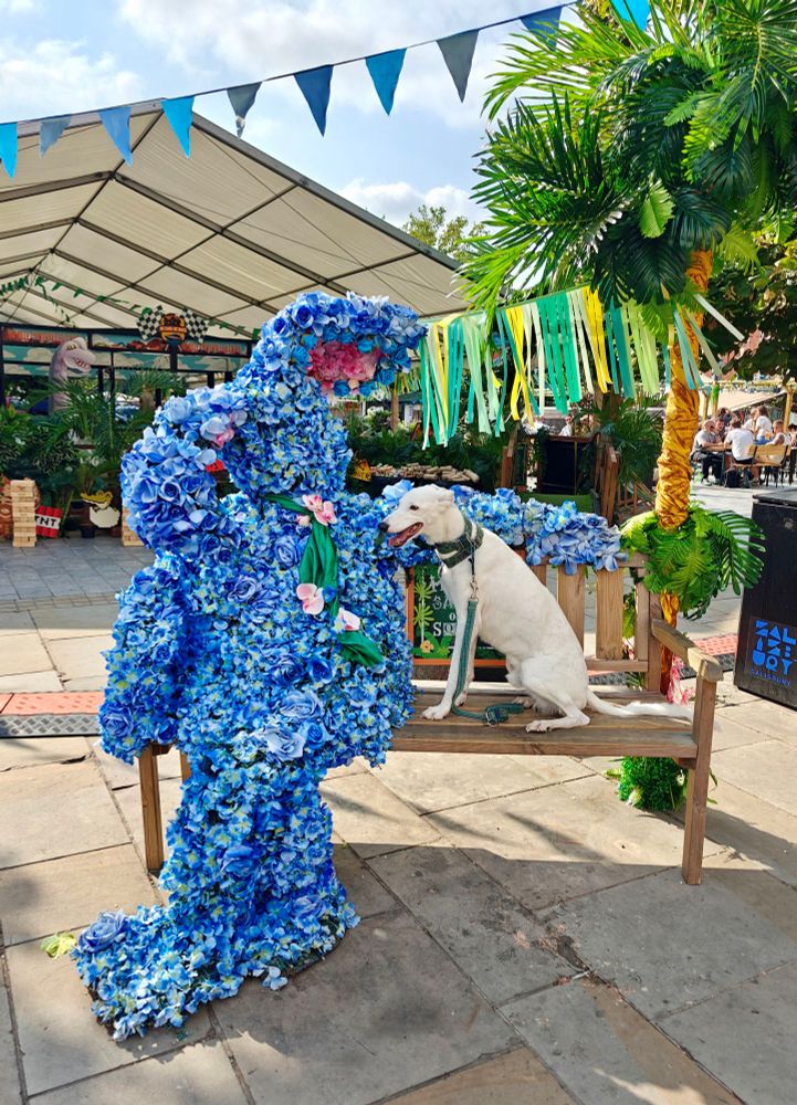 Picture of a white lurcher dog sitting on a wooden bench next to a massive blue floral rabbit sculpture.