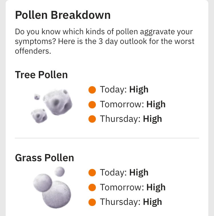 A screenshot of The Weather Channel’s website, which reports hayfever levels under the heading “Pollen Breakdown”