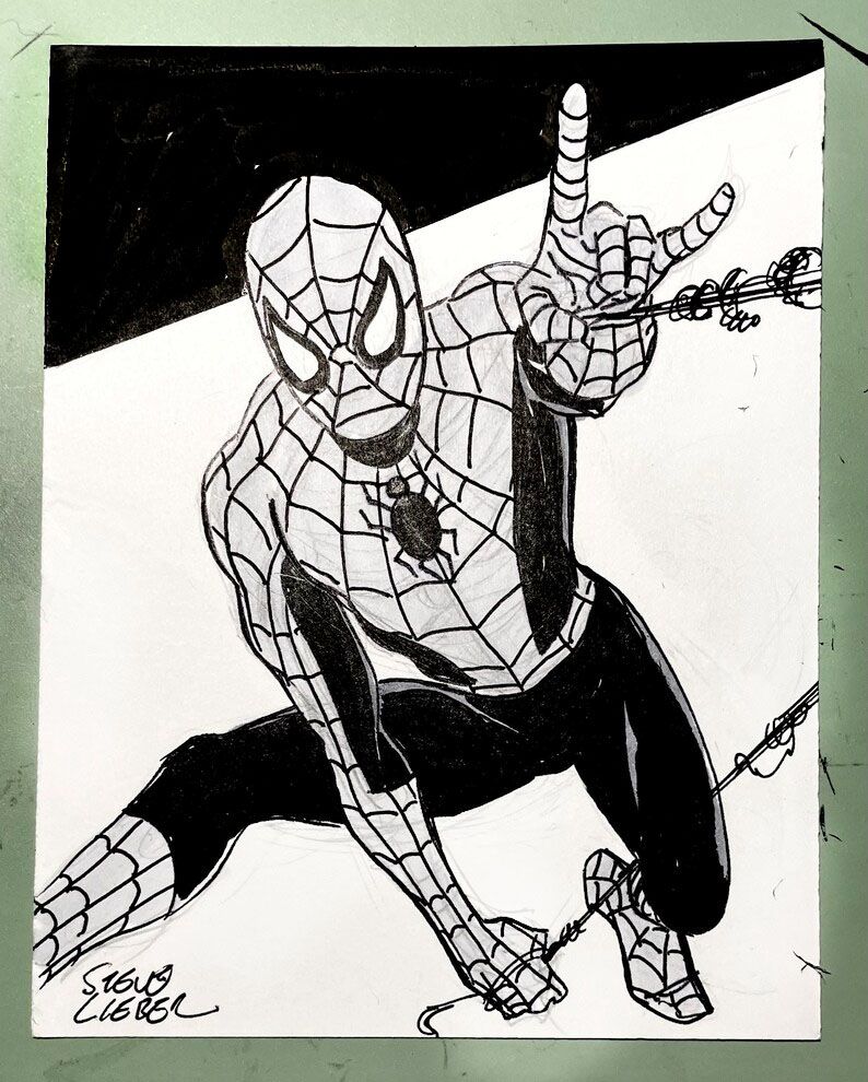 Spider-man sketch by Portland artist Steve Lieber