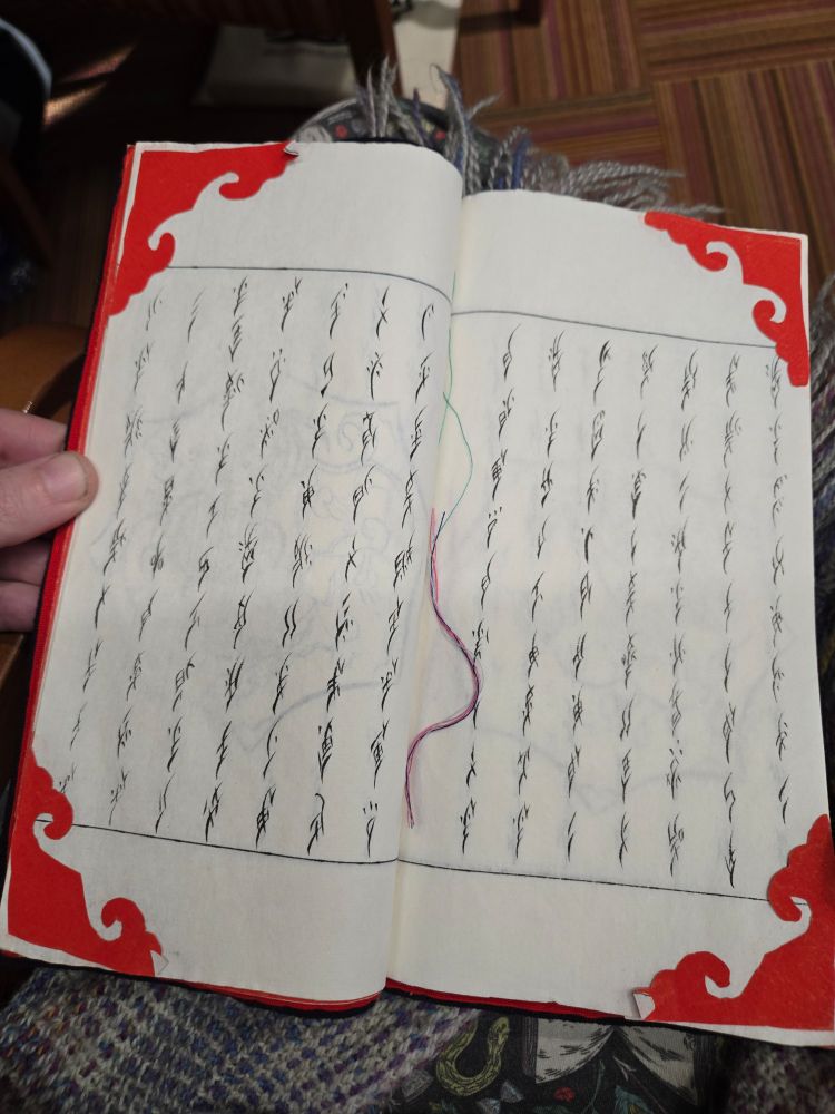 Nüshu script 