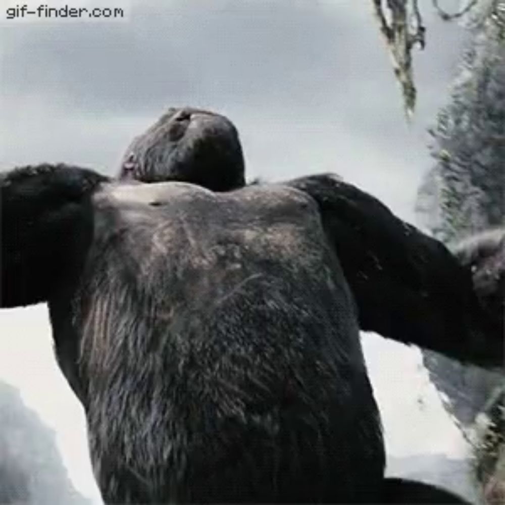 a picture of a gorilla with a gif-finder.com watermark on the bottom