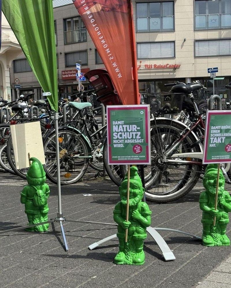 Infostand der Brühler GRÜNEN zur Kommunalwahl 2025. Das Bild zeigt drei grüne Gartenzwerge, die kleine Schilder mit Wahlplakaten halten.