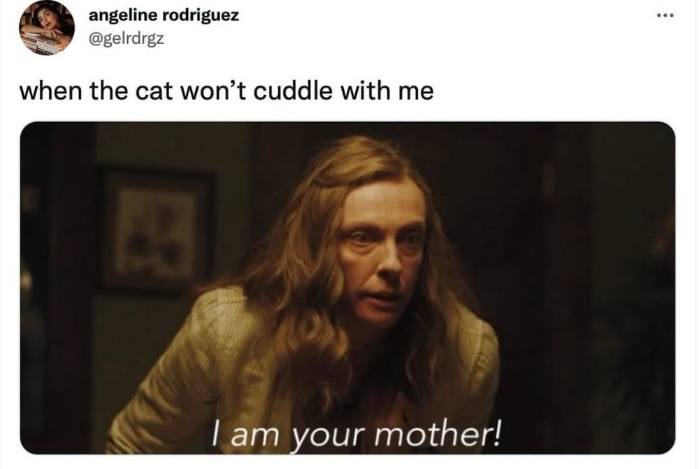 when the cat won't cuddle with me

Scene from Hereditary: I am your mother! 