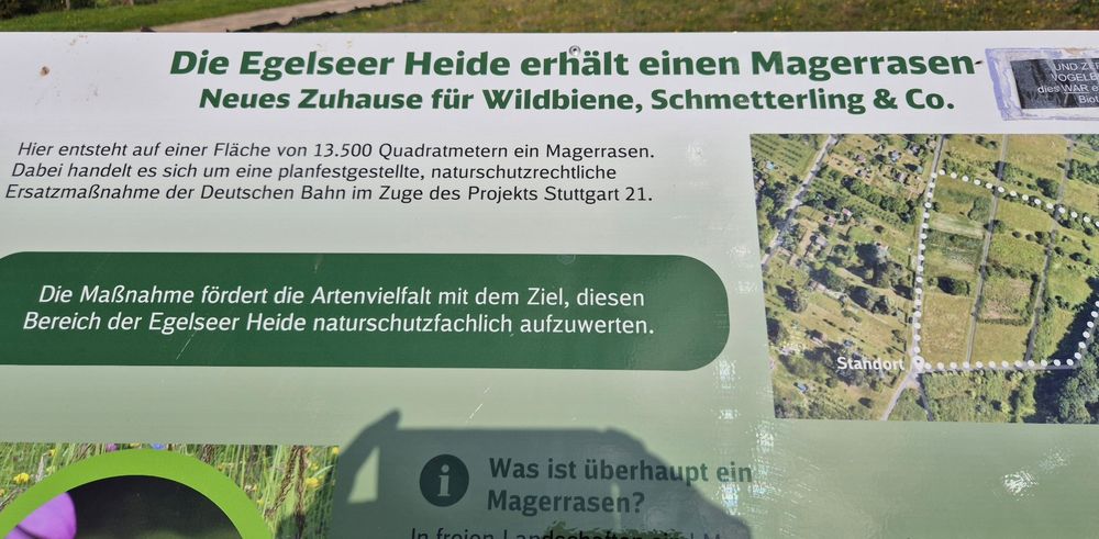 Infotafel, die das Magerrasenprojekt als Ausgleich für die Flächen von Stuttgart 21 erklärt