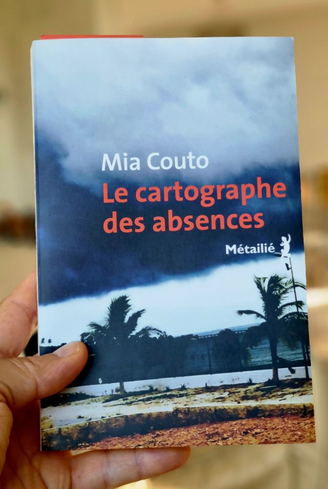 Couverture du livre Le cartographe des absences de Mia Couto.
Photo de deux palmiers sous un ciel très sombre.