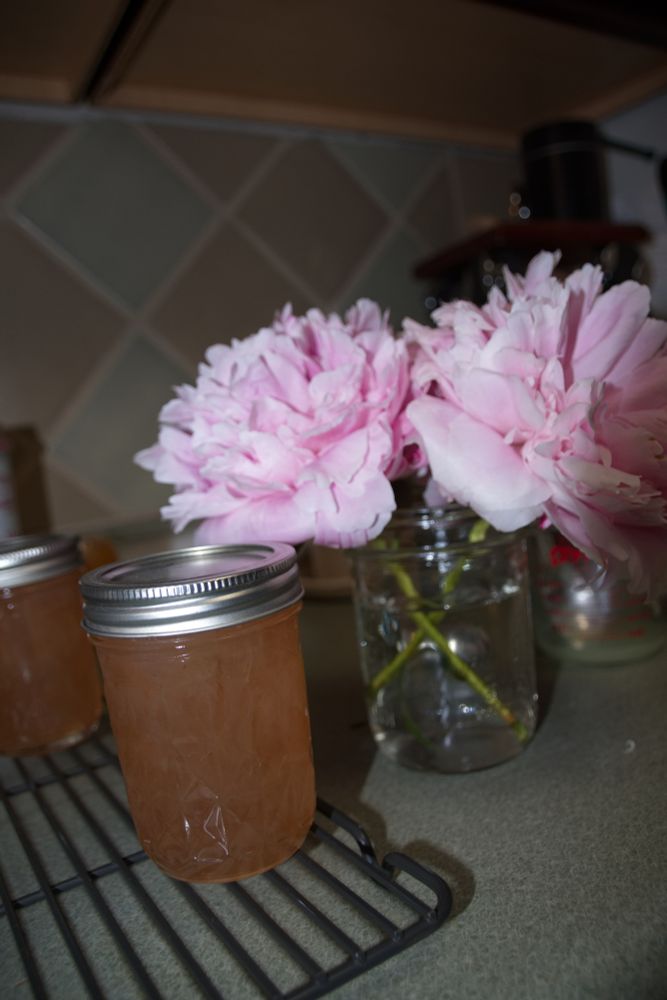 A comparison between peonies and peony jam.  On the left is a half pint jar with a blush colored jam.  To the right stands a mason jar with pale pink peonies.