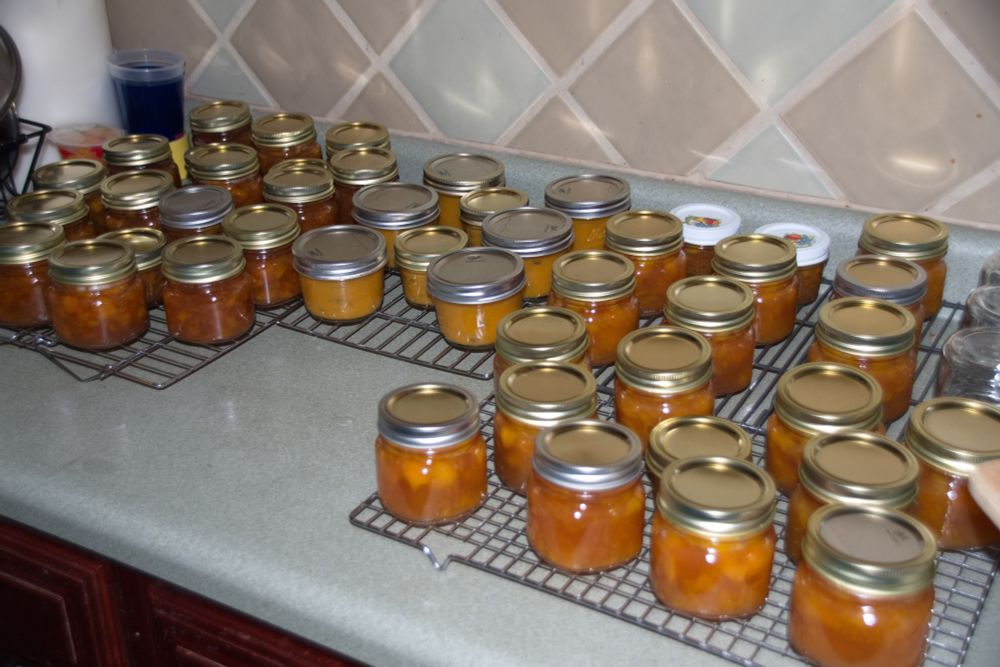 Jars of homemade peach jam sitting on metal racks to cool.  There are three groupings of jams, each with a different color.