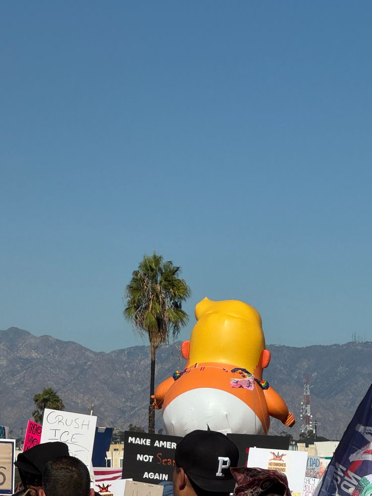 Back of baby Trump ballon against a palm tree