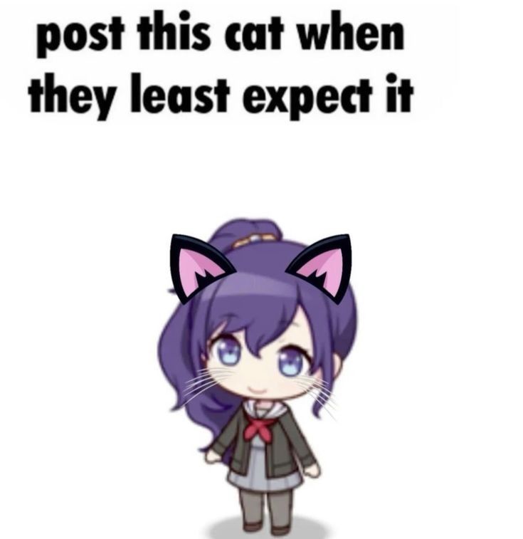 Comment image