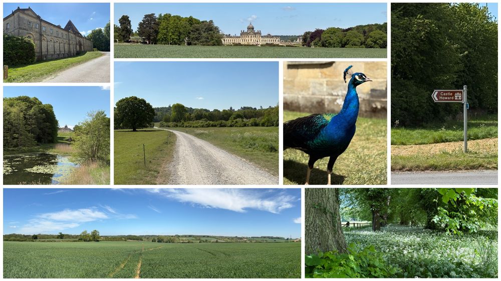 Photos taken during a walk around Castle Howard in Yorkshire, UK; including the house, fields and a peacock