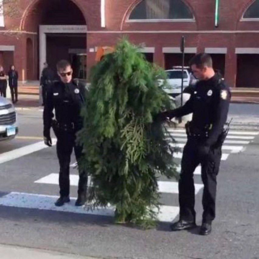 Two police officers stop a person disguised as a tree on a pedestrian crosswalk.