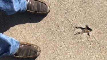 An empty frog-shaped impression in the cement to the right of a pair of feet. 