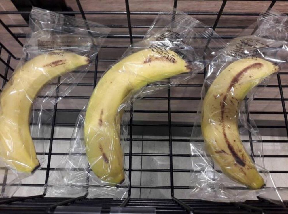 Three bananas individually wrapped in plastic on a metal wire shelf.