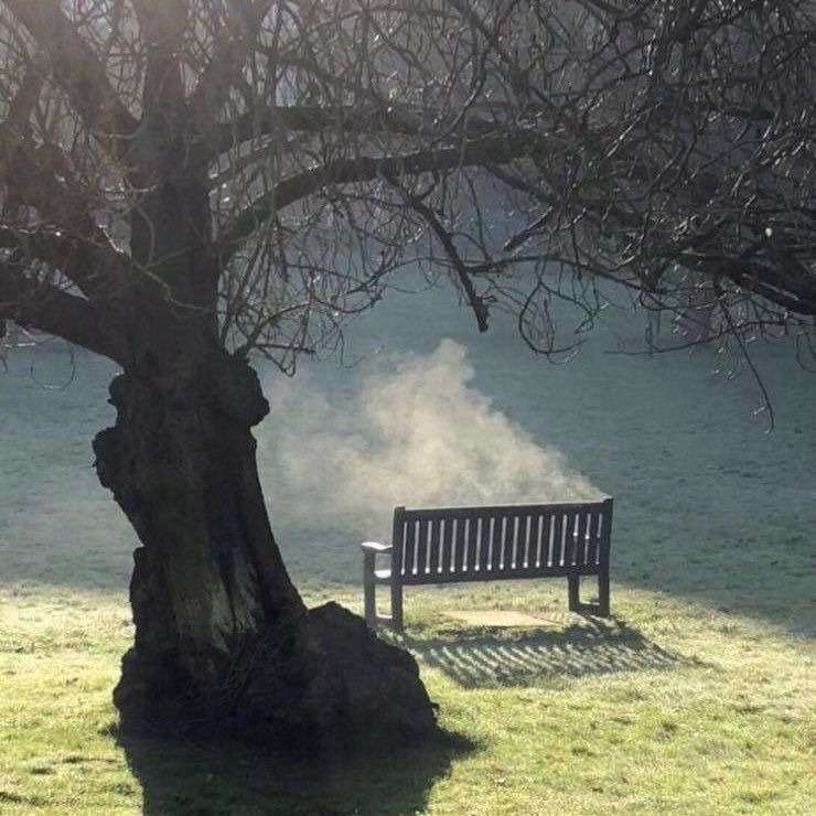 Water evaporating from a park bench in sunlight.