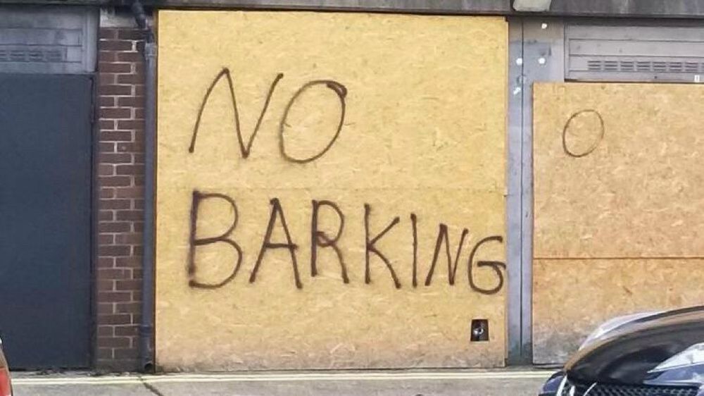Graffiti on a boarded-up window reads "NO BARKING" with the top of a car visible in the foreground.