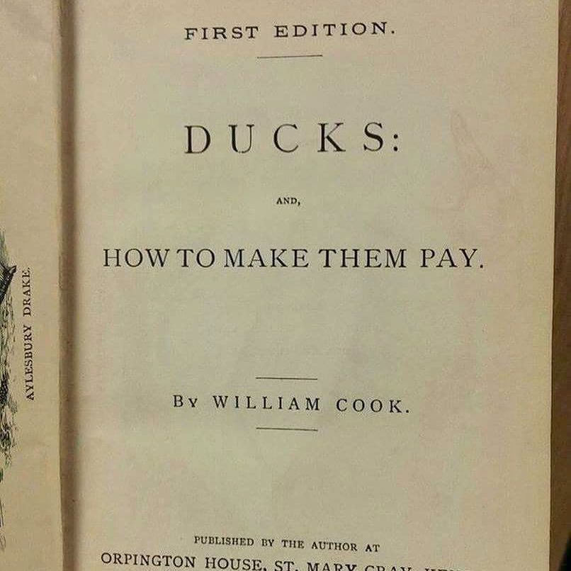 Title page of book entitled “Ducks: And, How to Make Them Pay,” by William Cook