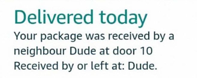 Message reads "Delivered today - Your package was received by neighbor Dude at door 10 - Received by or left at: Dude."