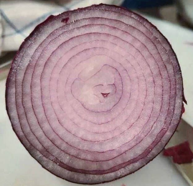 A halved onion appears to have a smiling face with closed eyes at its center.