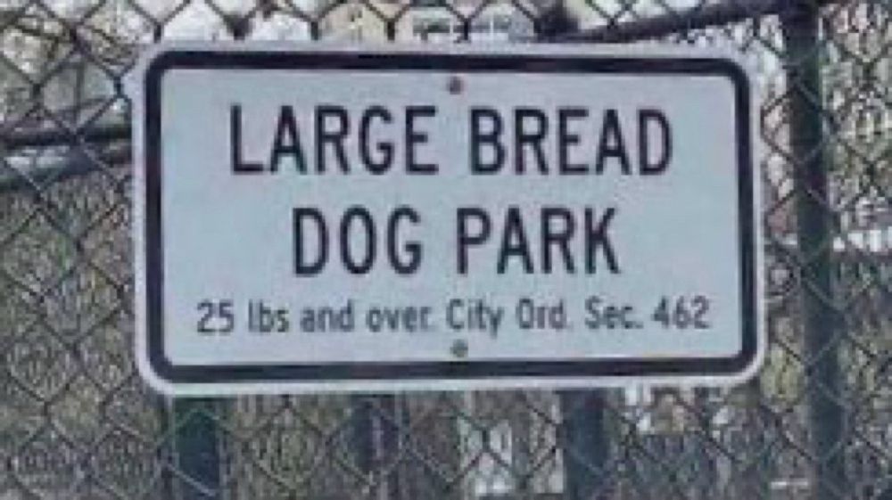 Sign on chain link fence reads “LARGE BREAD DOG PARK.”