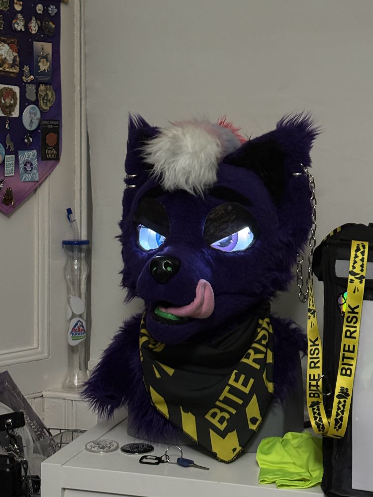 Purple wolf fursuit head on a desk. The LED yes glow as he looks feisty. He is wearing a black and yellow bandana scarf with the words “Bite Risk” in yellow. 