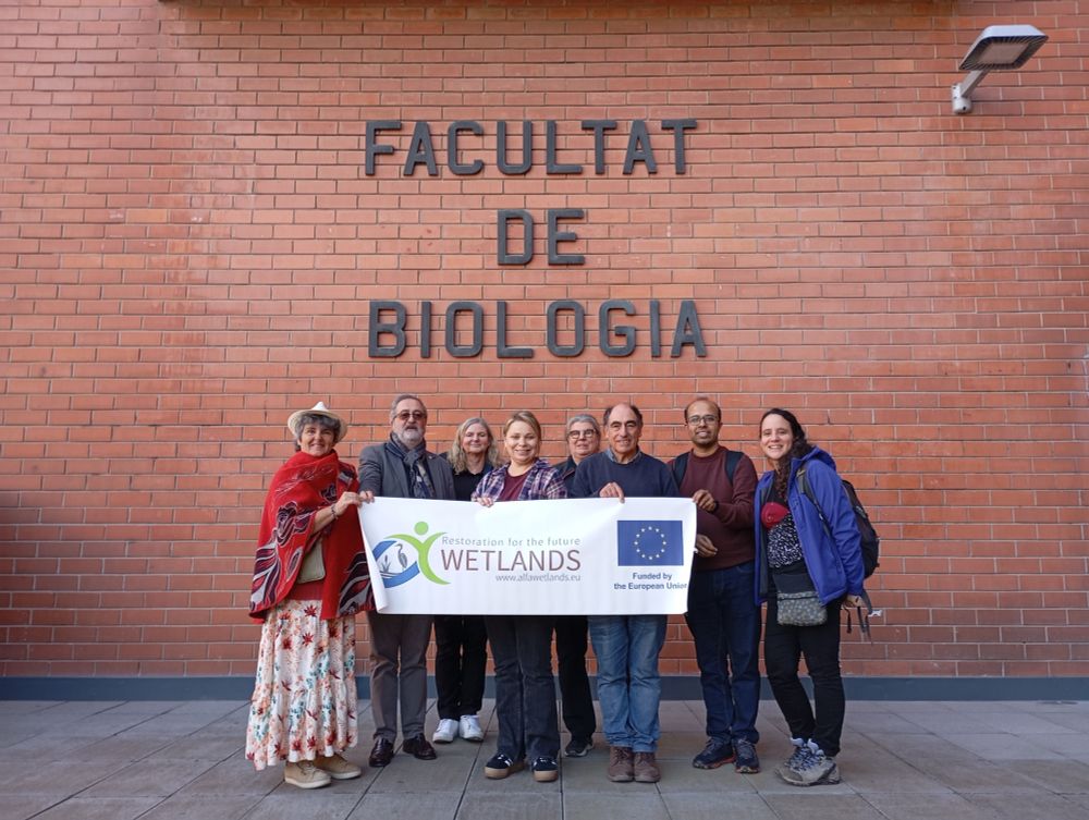 Learn more about ALFAwetlands Work Package 3: Efficiency of Innovative Ecosystem-Scale Restoration Practices from the podcast https://alfawetlands.eu/podcast/episode-2-efficiency-of-innovative-ecosystem-scale-restoration-practices/