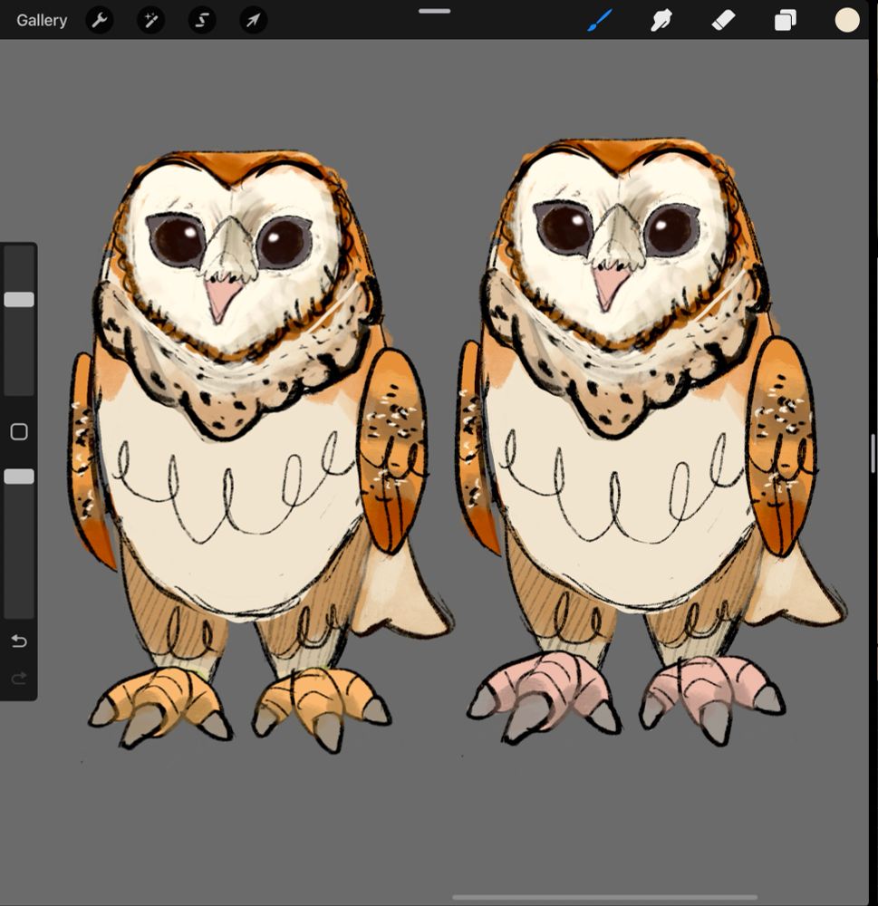 A sketch of a cartoony barn owl. One has yellow feet and the other has pink