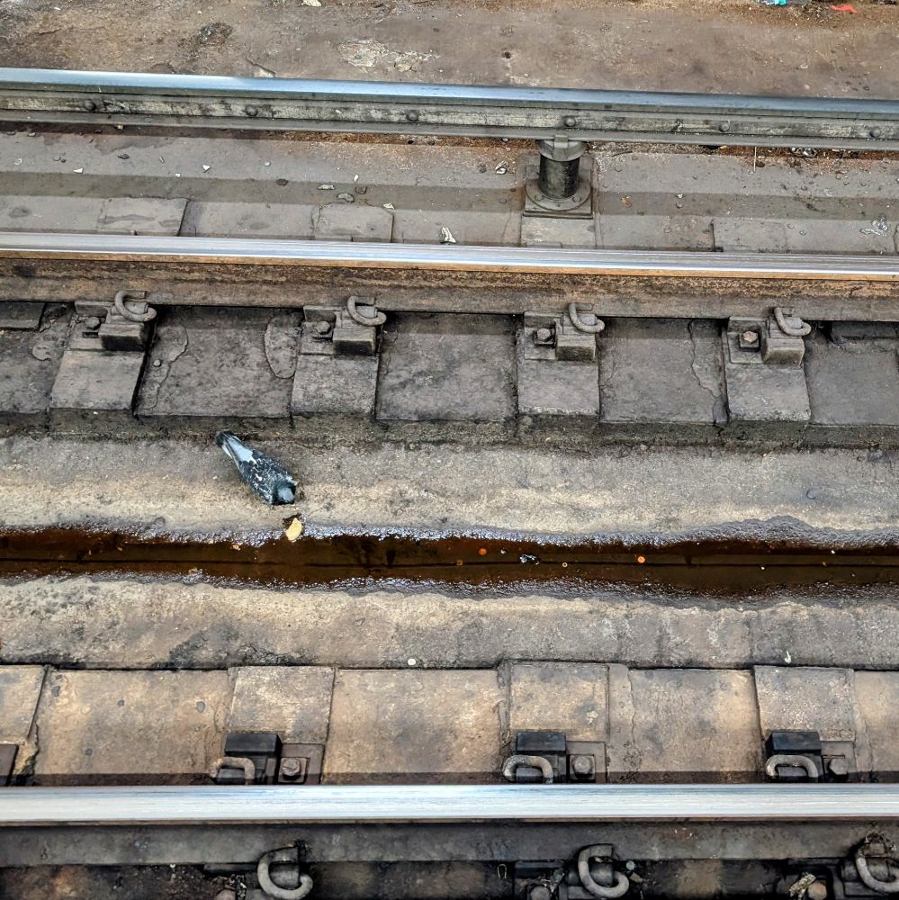 a pigeon eats on the El tracks in chicago 