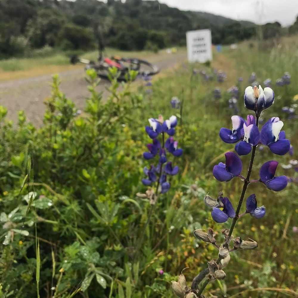 #feedzone
Photo taken at these geographical coordinates: geo:36.620161103073,-121.72243279443