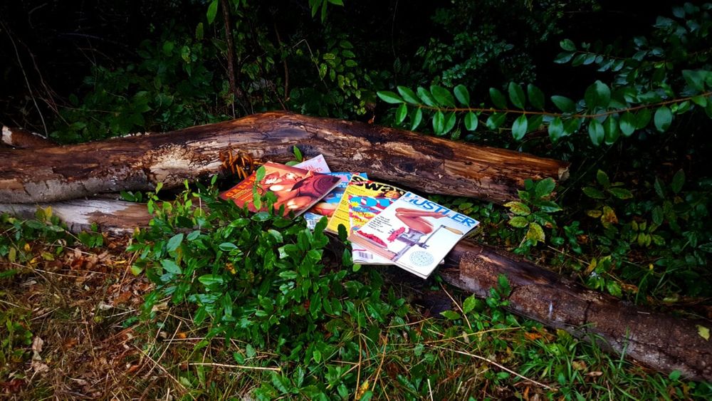 Porn in the woods. Probably 1980s!