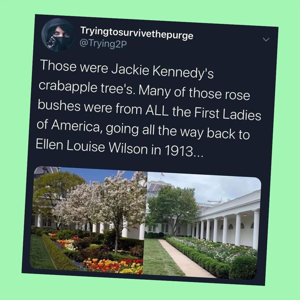 A tweet talks about how the rose garden that Donald Trump tore up contained Jackie Kennedy’s crabapple trees and many other first ladies’ rose bushes.