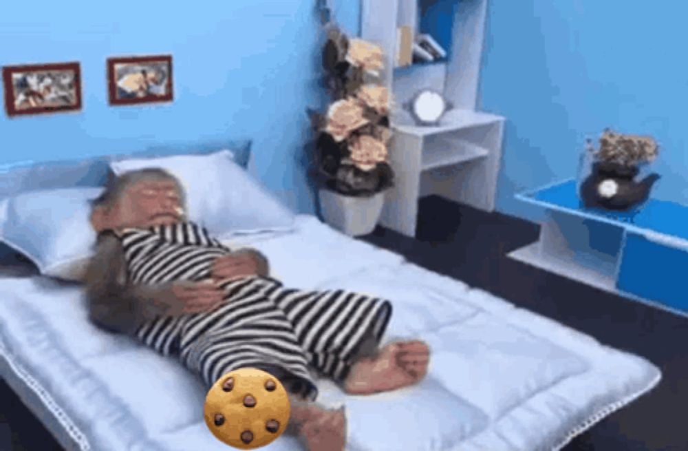 a monkey is laying on a bed with a cookie on its foot