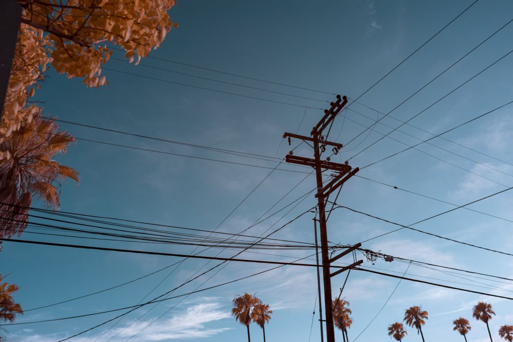 Infrared photo of a utility pole with a web of intersecting power lines against a deep blue sky. Warm-toned palm fronds and trees frame the image, with a row of tall palm trees in the background. The image has a surreal, infrared-toned color palette with orange foliage and cool blue tones. 
