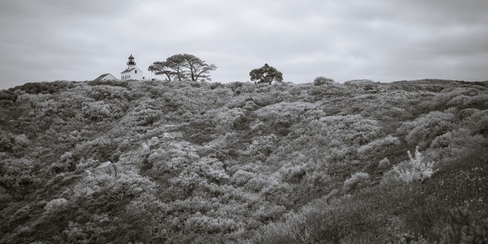 Black and white infrared photograph of a lighthouse sitting atop a hill covered in dense, textured shrubbery. The lighthouse is flanked by two distinctive trees, and the sky is overcast with a soft, diffused light. The foliage appears frosty or glowing due to the infrared effect, creating a surreal, ethereal atmosphere.