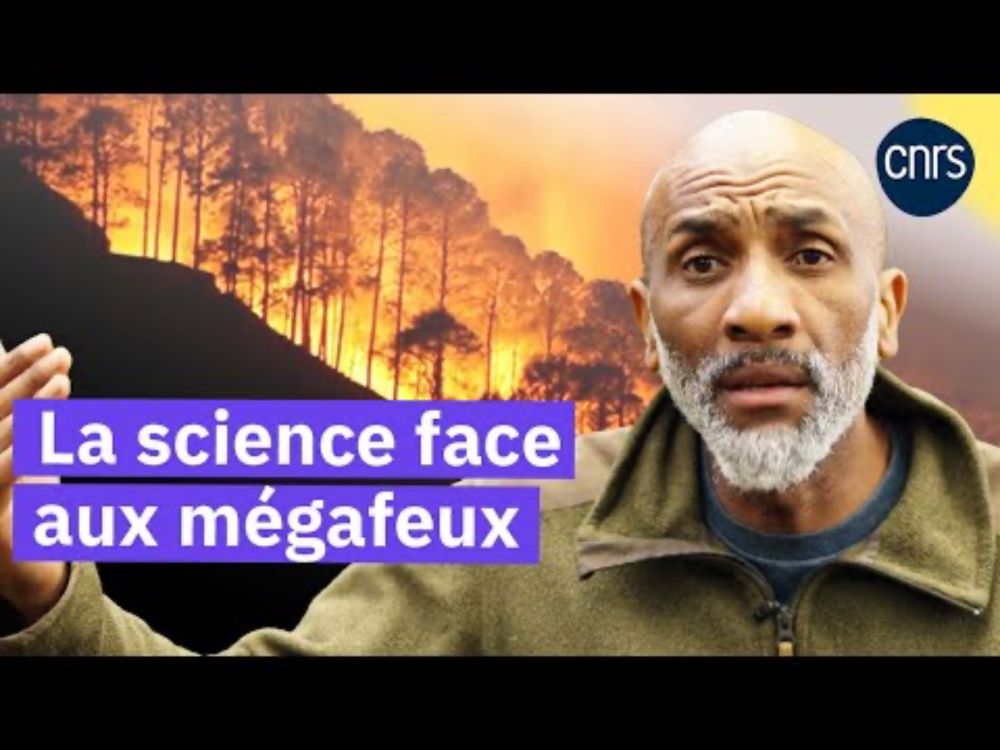 Mégafeux, la forêt des Landes pour comprendre | Reportage CNRS