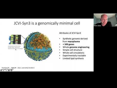 Build-a-Cell seminar James Saenz: Harnessing minimal cells to understand the living membranes