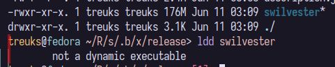 swilvester binary built with static linux sdk, 176 megabytes in size. image also shows it's not a dynamic executable