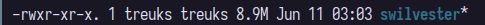 swilvester sample project binary, size is 8.9 megabytes.